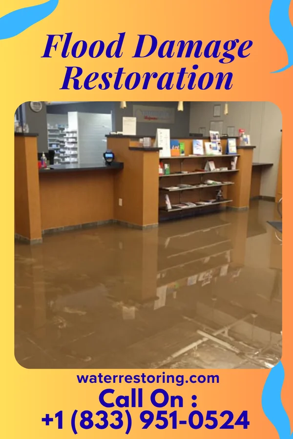 Flood Damage Restoration in Lynn Haven, FL